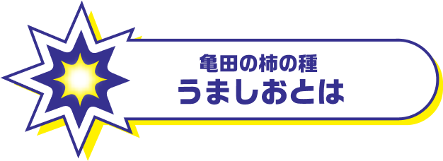 亀田の柿の種 うましおとは